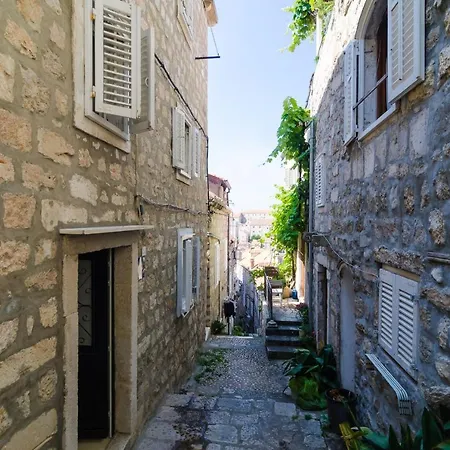 Domix Apartment